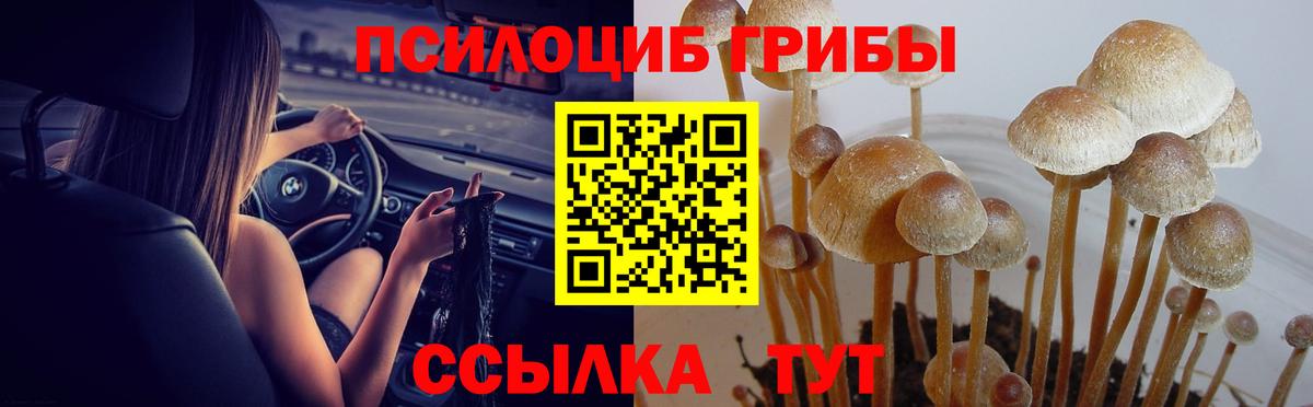 Галлюциногенные грибы Magic Shrooms Алатырь
