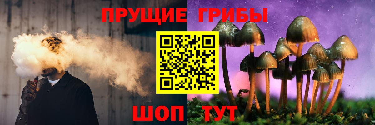 Алатырь  Галлюциногенные грибы Cubensis  Псилоцибиновые грибы Cubensis  Вход с VPN 